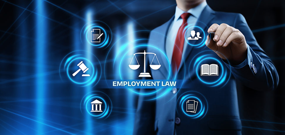 Employment Law Legal Services Toronto